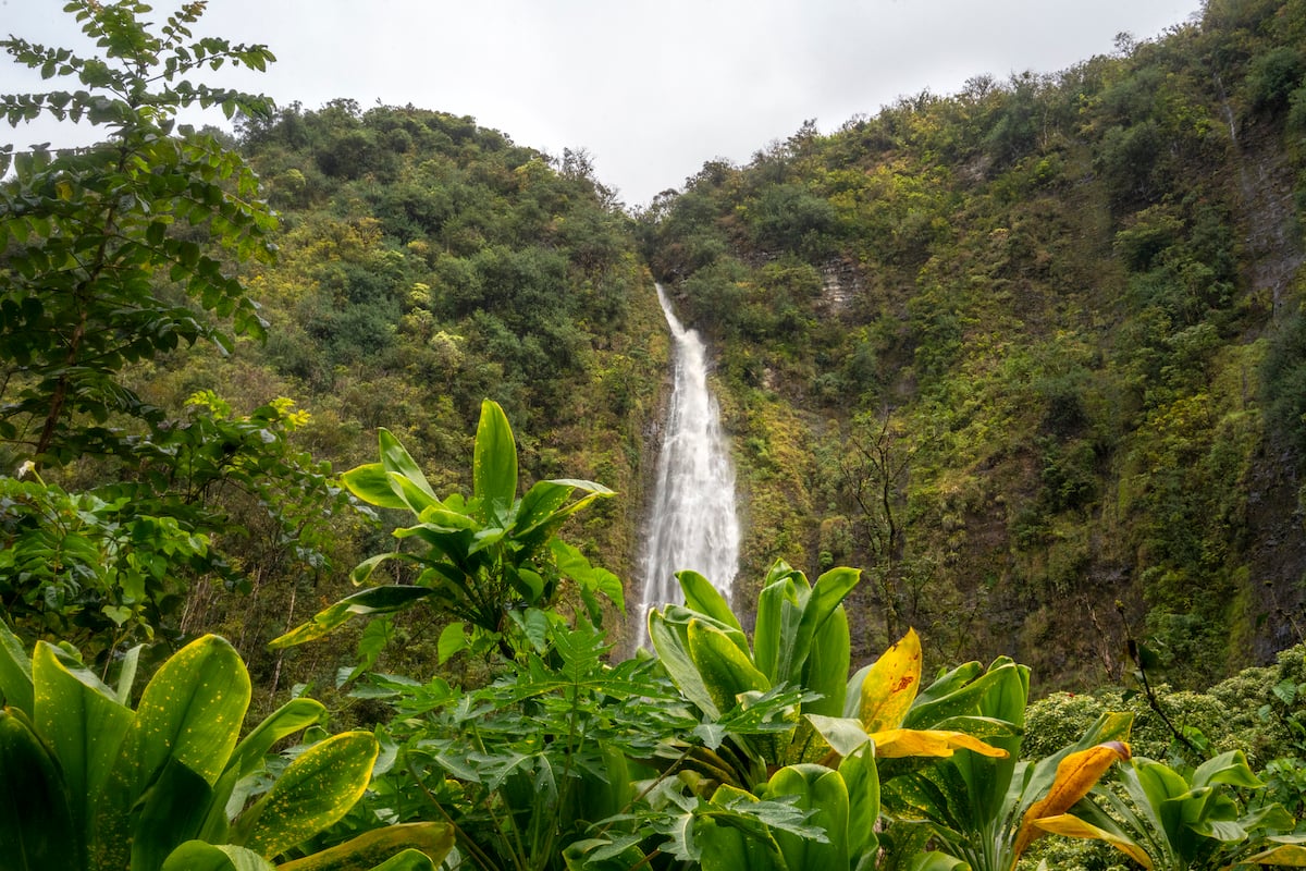 Must See Waterfalls On Maui Hawaii Magazine