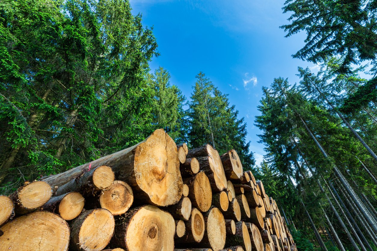 Opinion Veto Override On Hb Can Help Support Timber Industry Nh