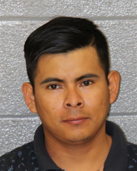 Fredy Zelaya Garcia Assault On A Female Assault By Strangulation