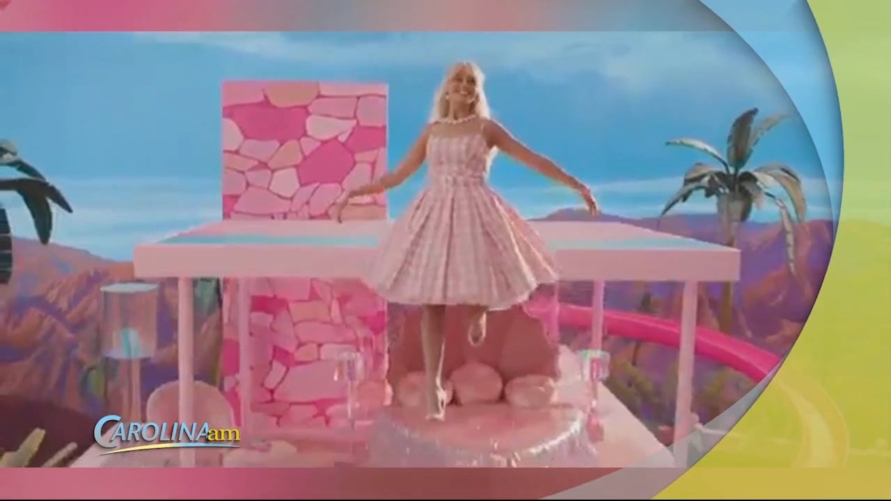 Barbie Movie Reportedly Causes International Pink Paint Shortage Wfxb