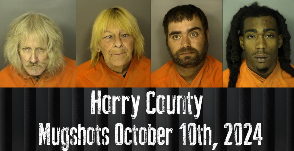 Horry County Mugshots October 10th 2024 WFXB