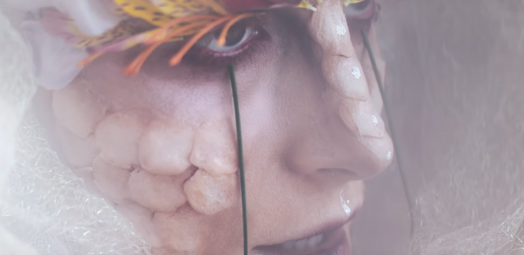 Hayley2