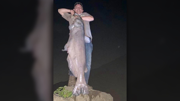 Catfish