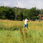 Img 4589