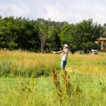 Img 4591