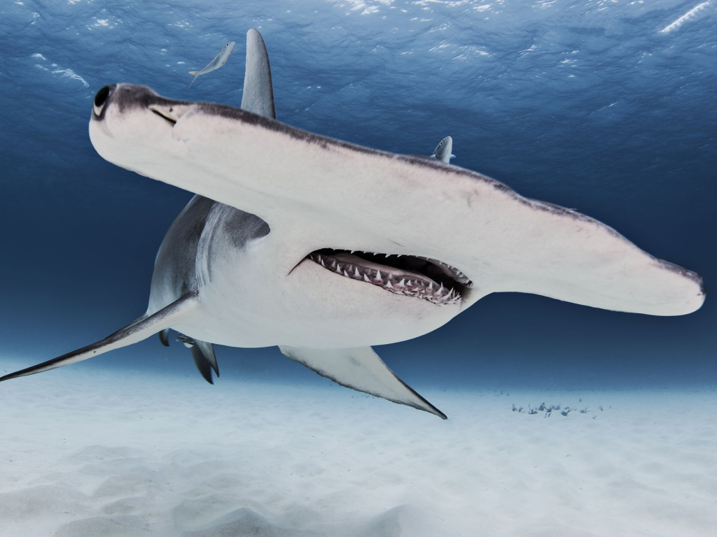 Featured Image Updates Test Article 030822