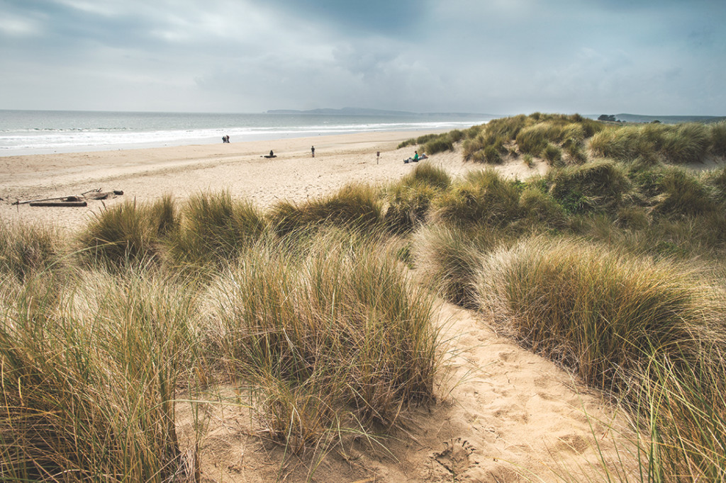 Limantour Beach