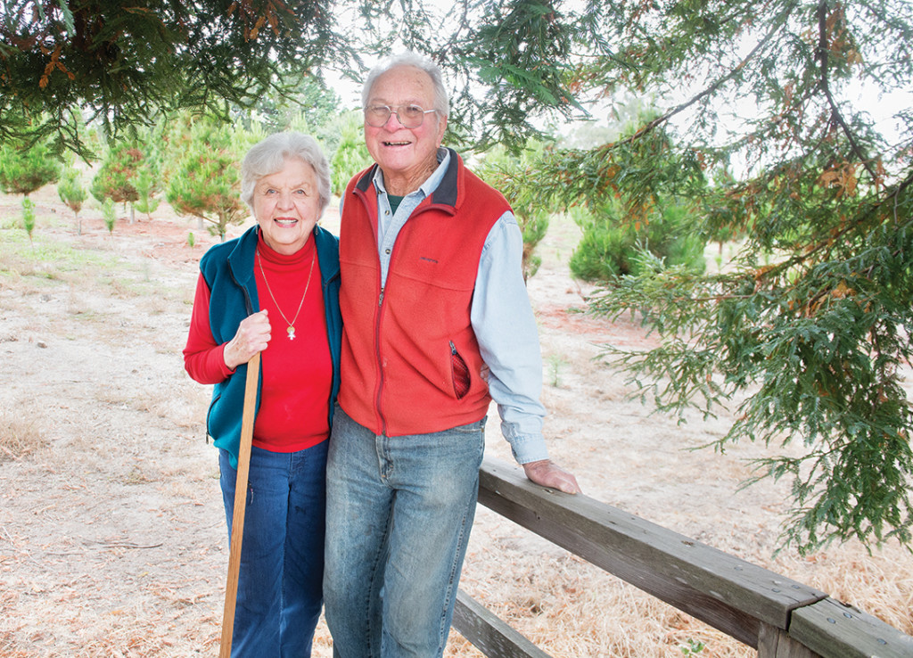 Christmas tree farm