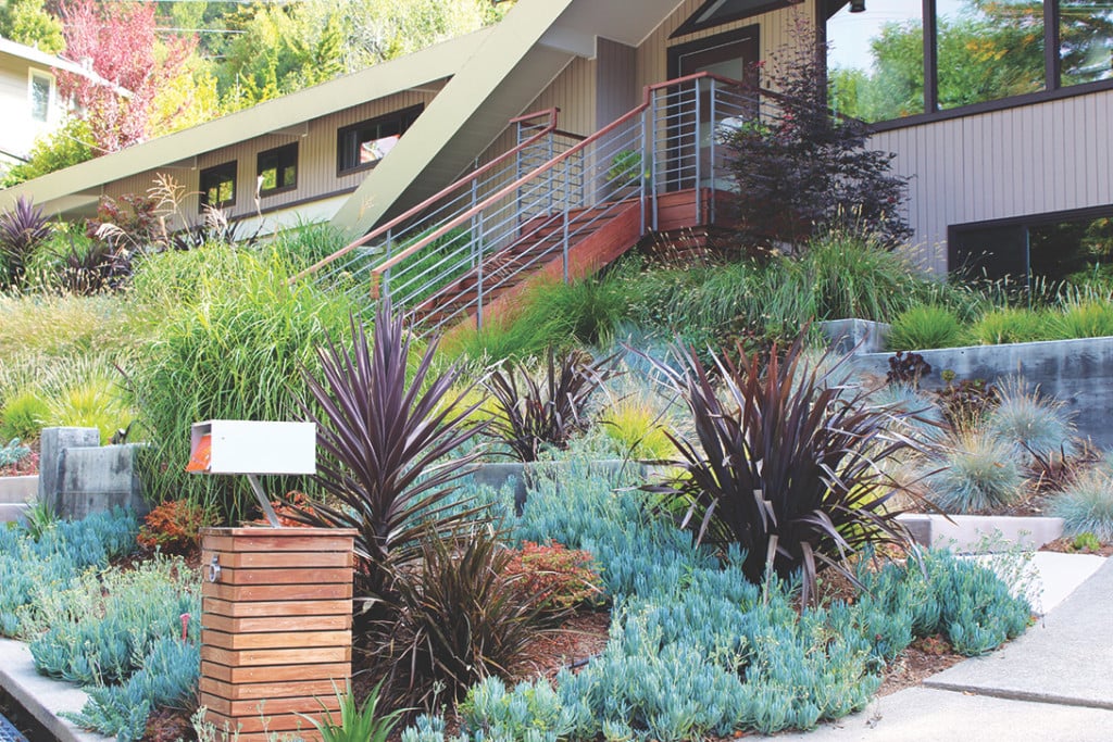 deer repellant gardens