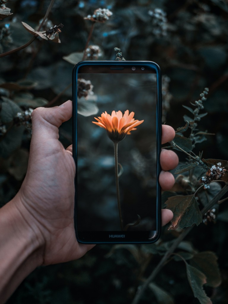 Plant App