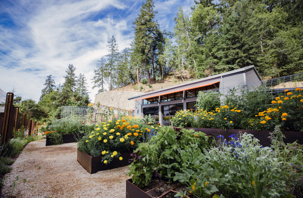 1440 Joanie's Garden