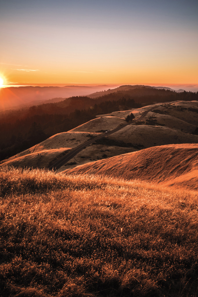 Local Marin businesses and non-profits give back
