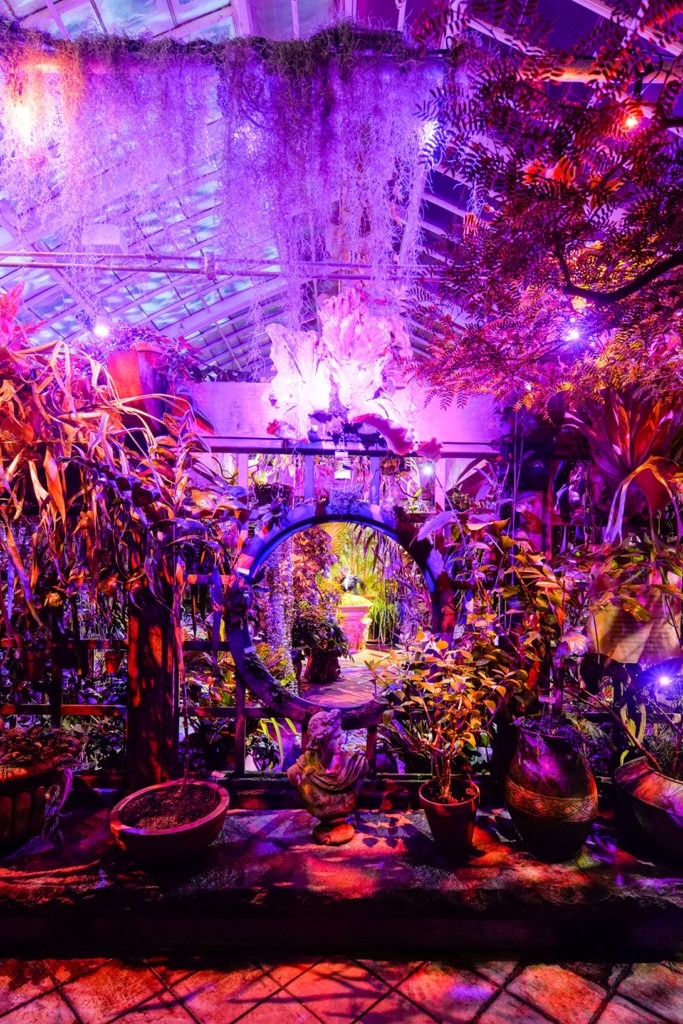 SF Conservatory of Flowers