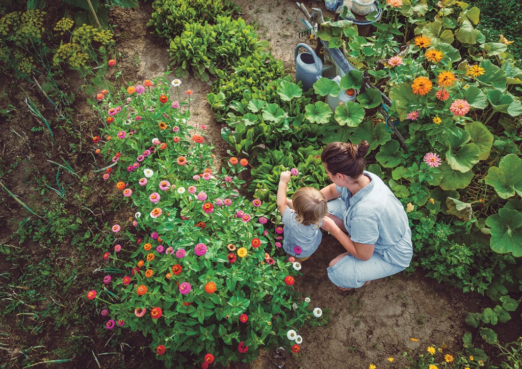 Garden