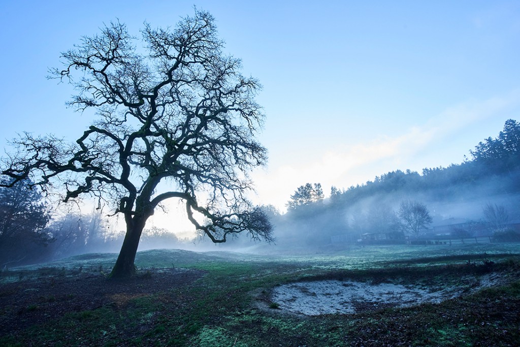 San Geronimo Creek