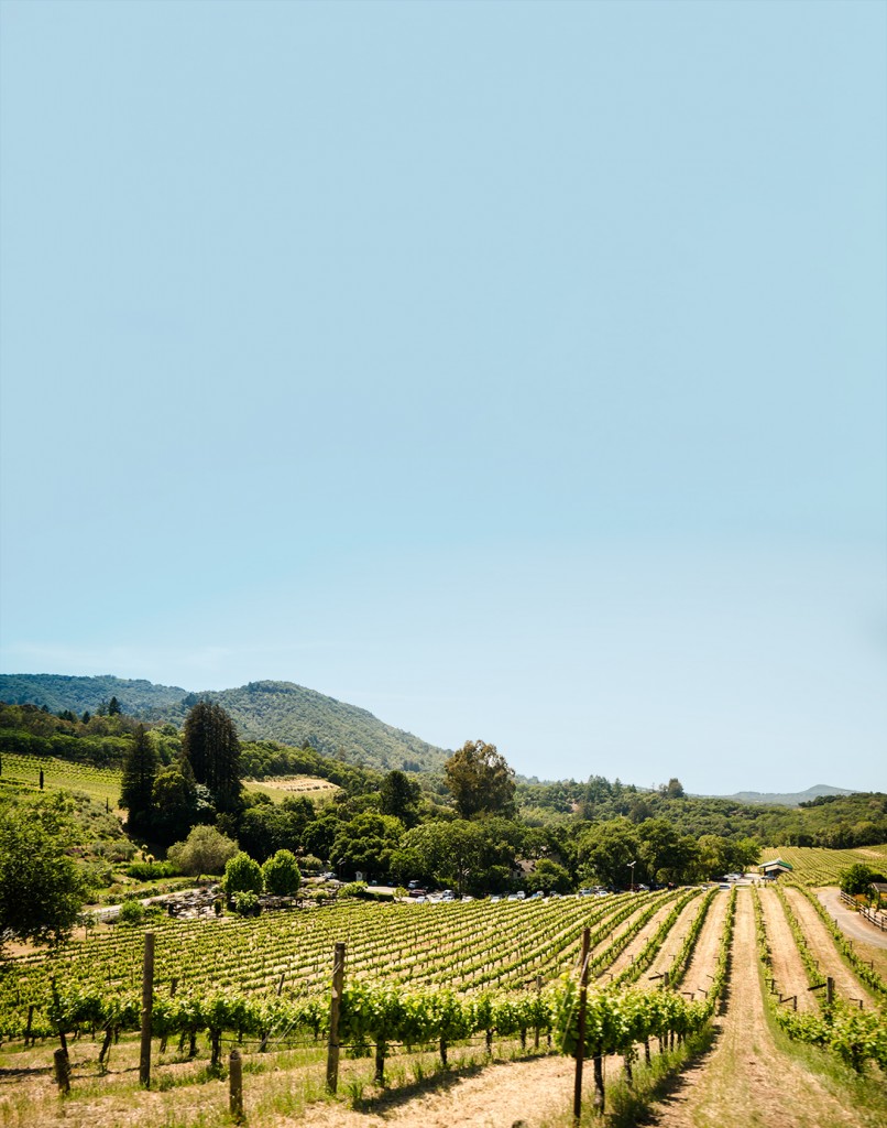 CHEESE PLEASE Winemakers share their favorite pairings