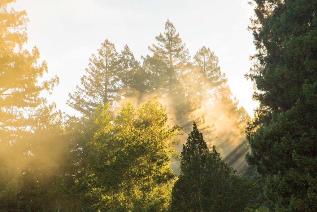 Heavenly Hikes E1557781852579 1024x685