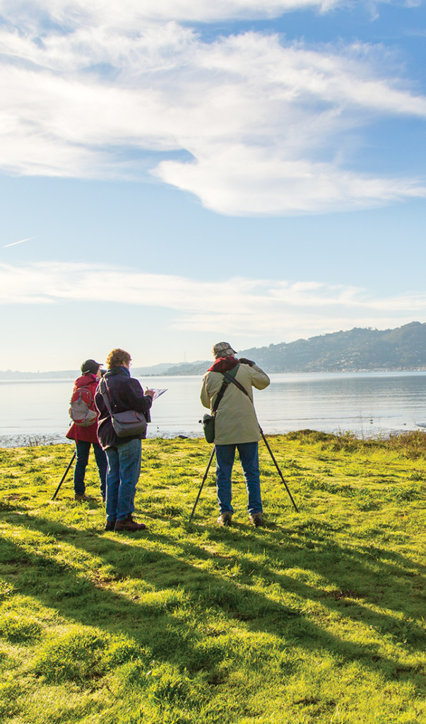 Marin Magazine, Marin Birding