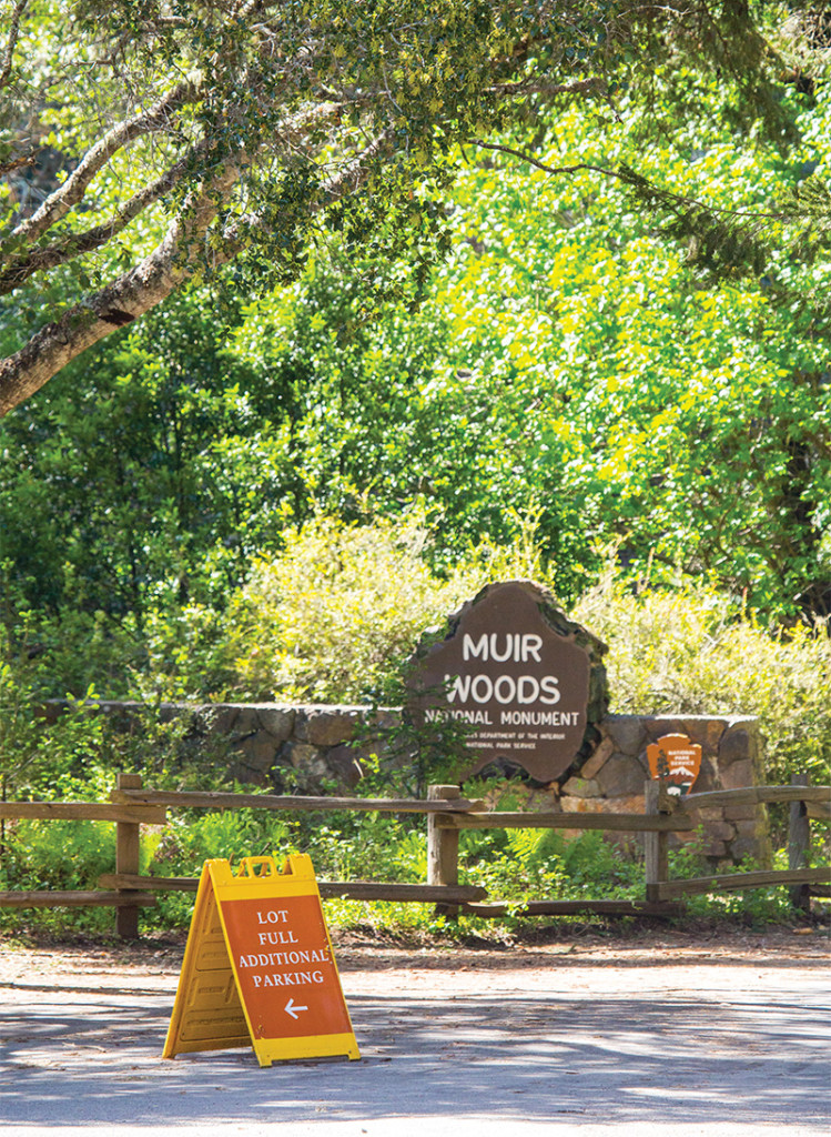 Muir Woods