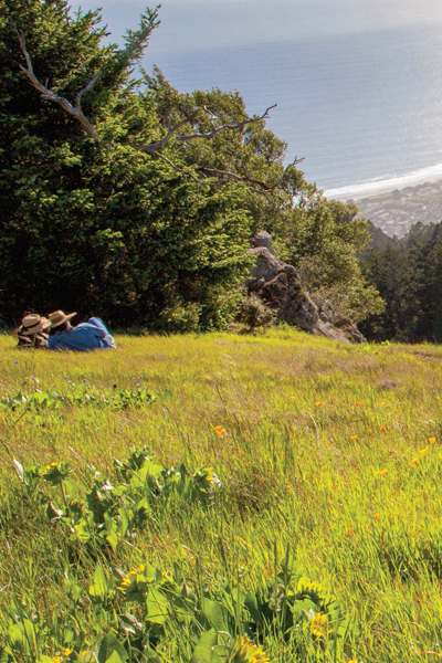 Marin Magazine, Marin Native Plants
