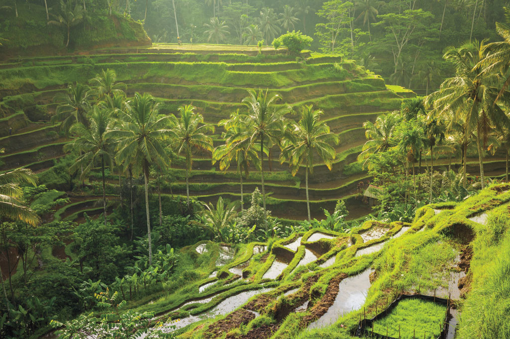 Bali