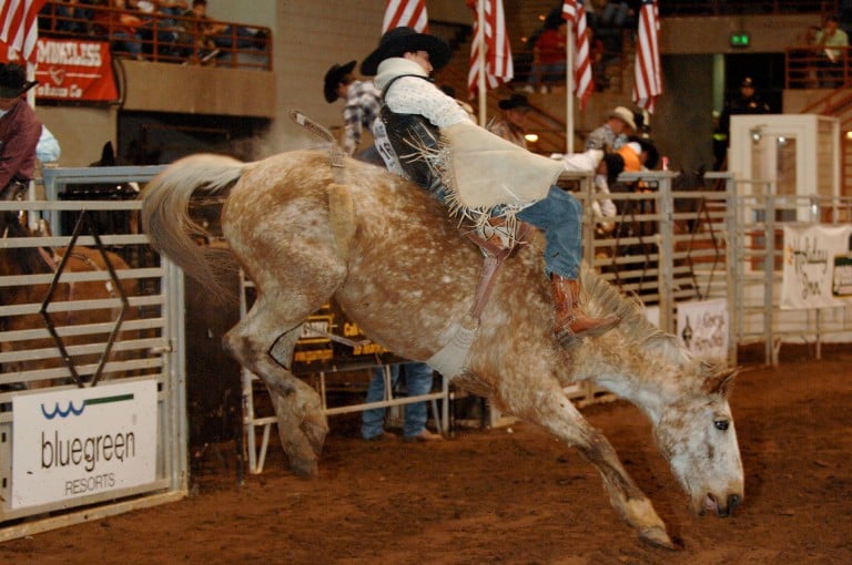 The National Rodeo starts this week in Perry 41NBC News WMGTDT