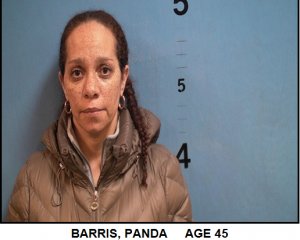 Panda Barris