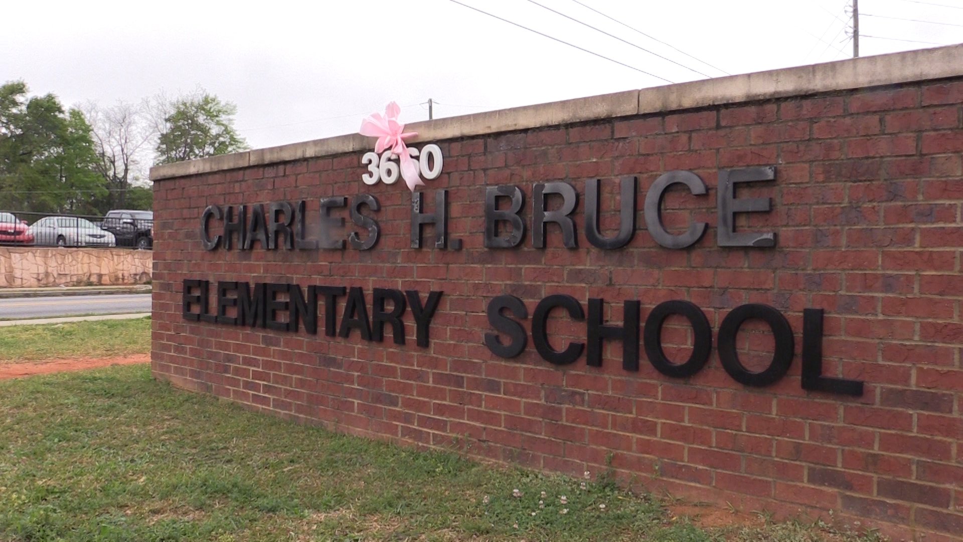 Cherry Blossom Festival comes to Bruce Elementary School 41NBC News
