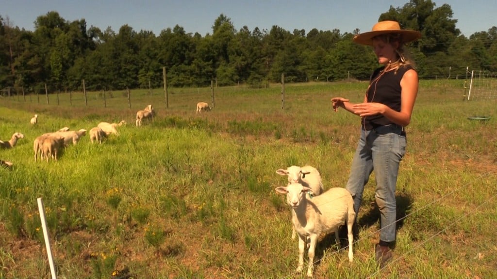 Farmers on Forest Grove Farm