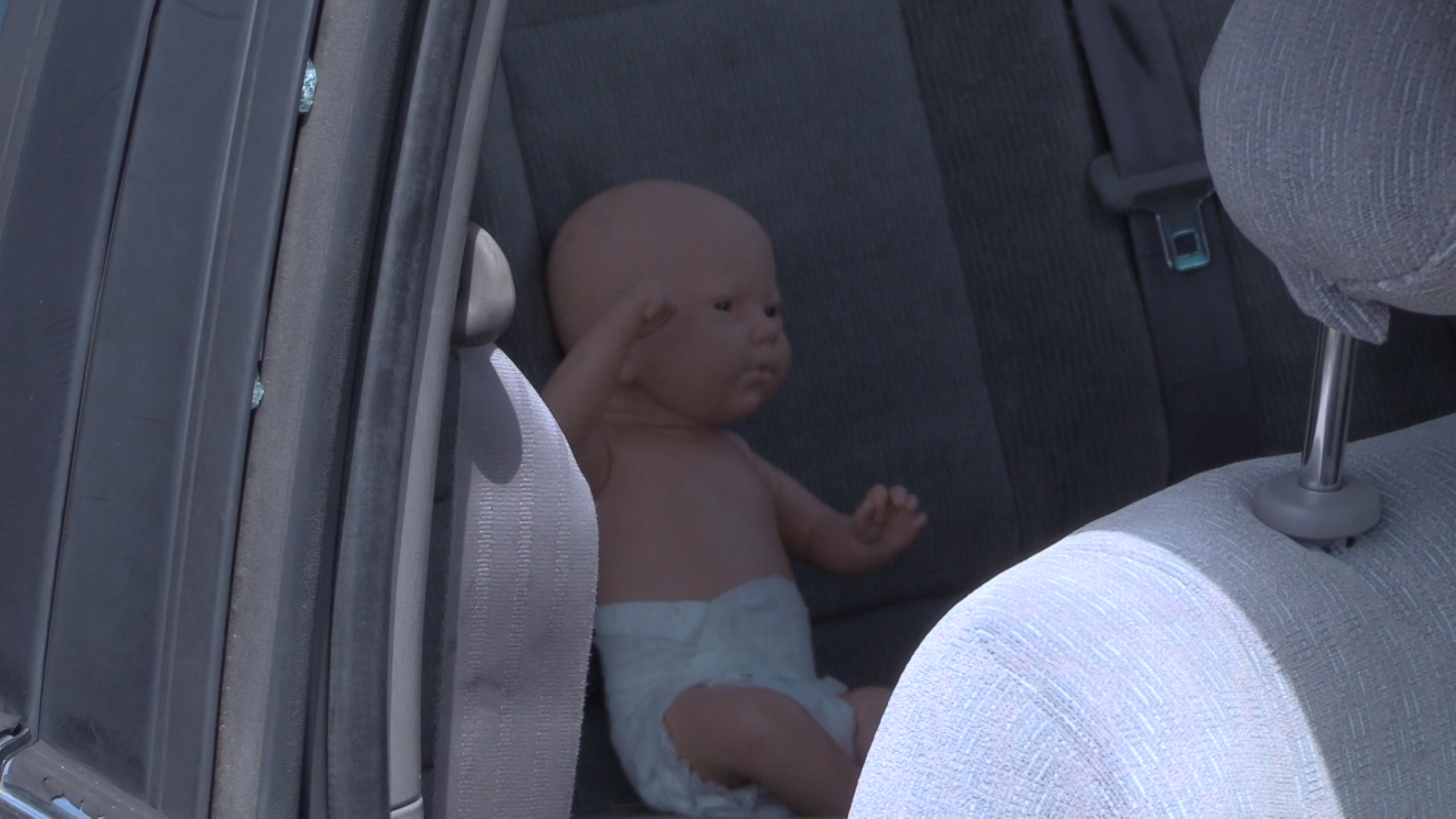 What to do if you see a child or animal inside a hot car - 41NBC News ...