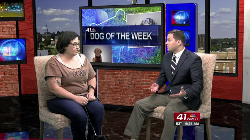Jenny joins 41NBC as your Dog Of The Week this week. If you want to adopt