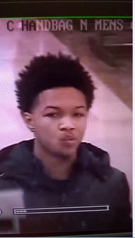 Monroe Co Burglary suspect