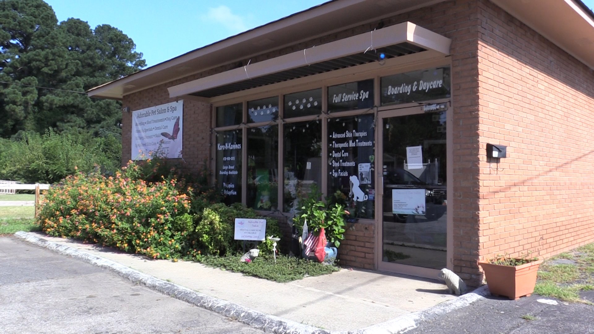 Byron pet salon hurricane evacuees' pets for 5 41NBC News