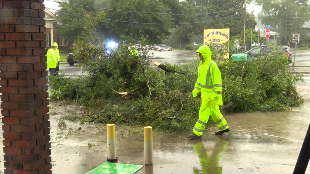 Crews in Eastman clearing up trees after Tropical Storm Hermine.