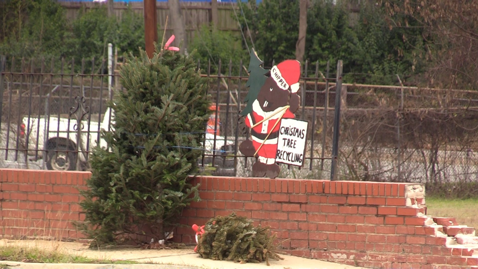 Macon Ga Christmas Tree Drop Off Kroger 2022 One For The Chipper' Christmas Tree Round Up Is This Saturday - 41Nbc News  | Wmgt-Dt