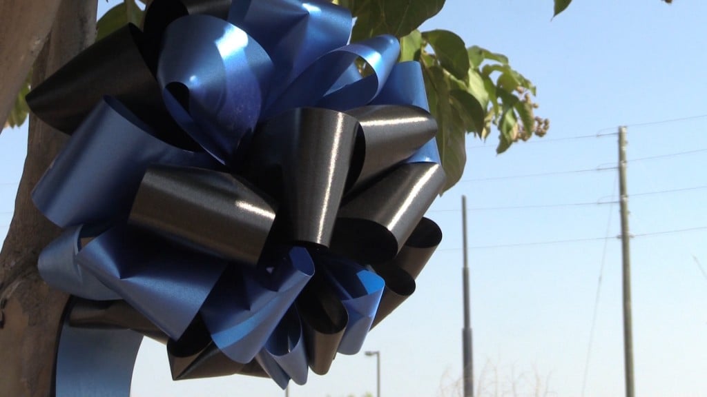 The black and blue bows cost just $10