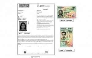 Georgia Driver's License Manual Online