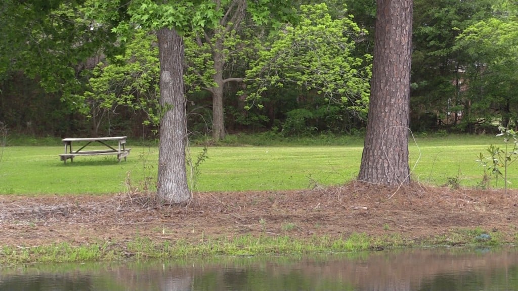 Lake Leisure is a calming place for veterans to relax and go fishing.