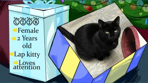 12 days of Catmas: Liza