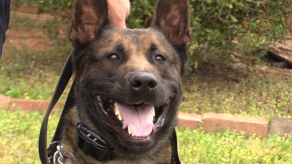 K9 Rocky is ready to help Forsyth be safer by finding illegal drugs and tracking down missing people.