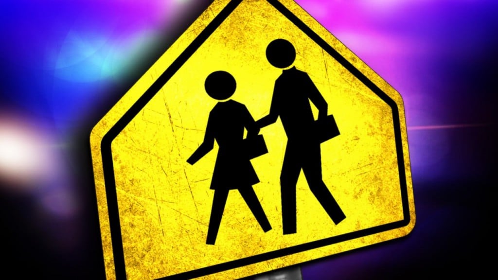Crossing guard hit by car outside Monroe County School