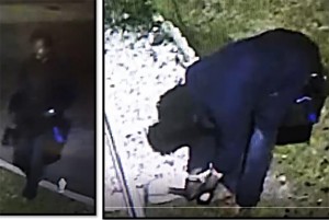 solar light thief