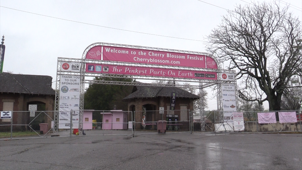 Cherry Blossom Festival