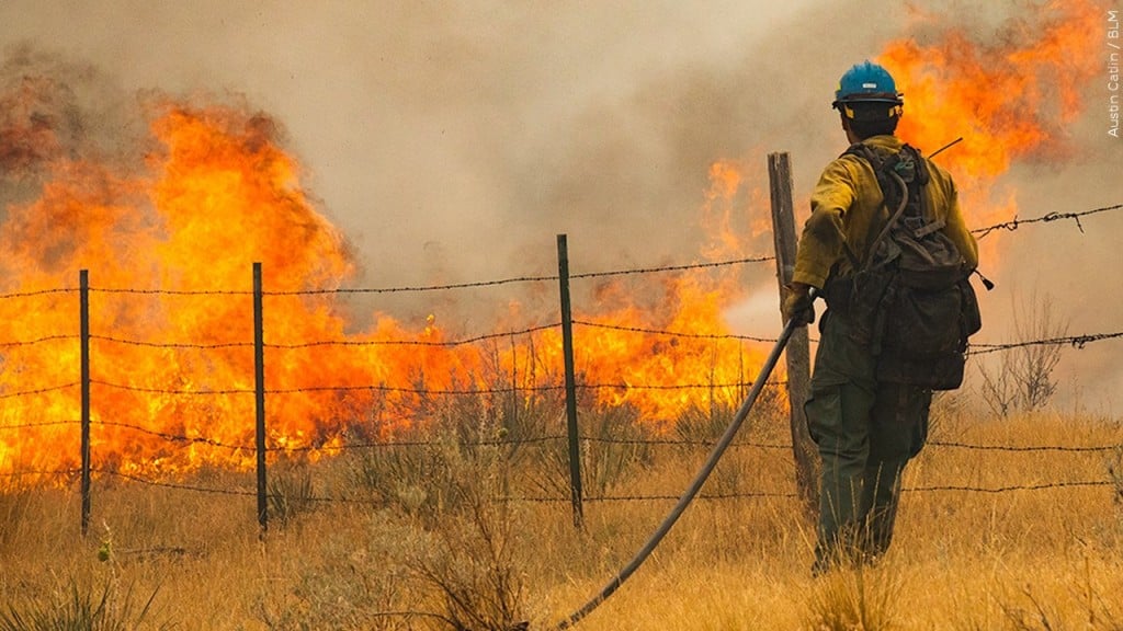 Western Wildfires