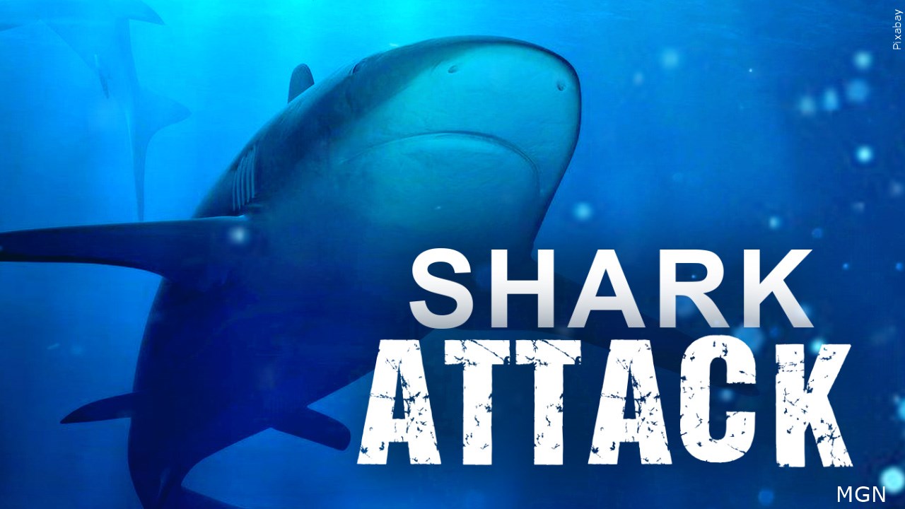 Shark attacks lifeguard on Hilton Head Island 41NBC News WMGTDT