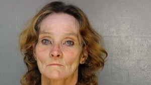 54yearold Callie Ann Allison Charges Warrant Served Driving While License Suspended