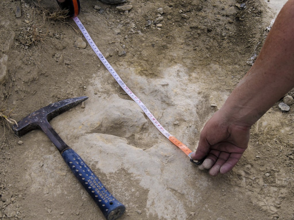 Fast Dinosaurs Footprints