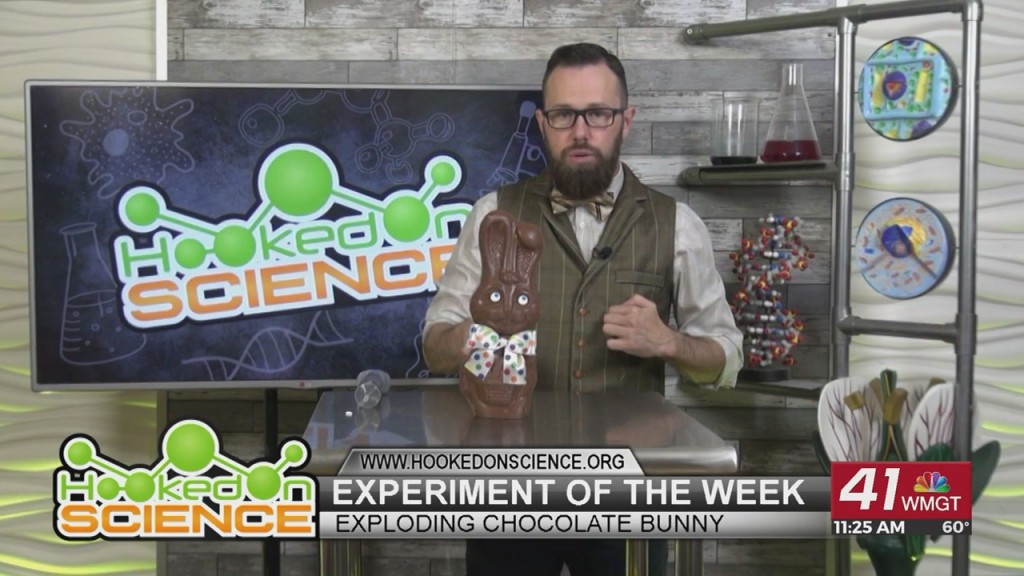 Hooked On Science: Exploding Chocolate Bunny