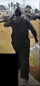 Bolo3