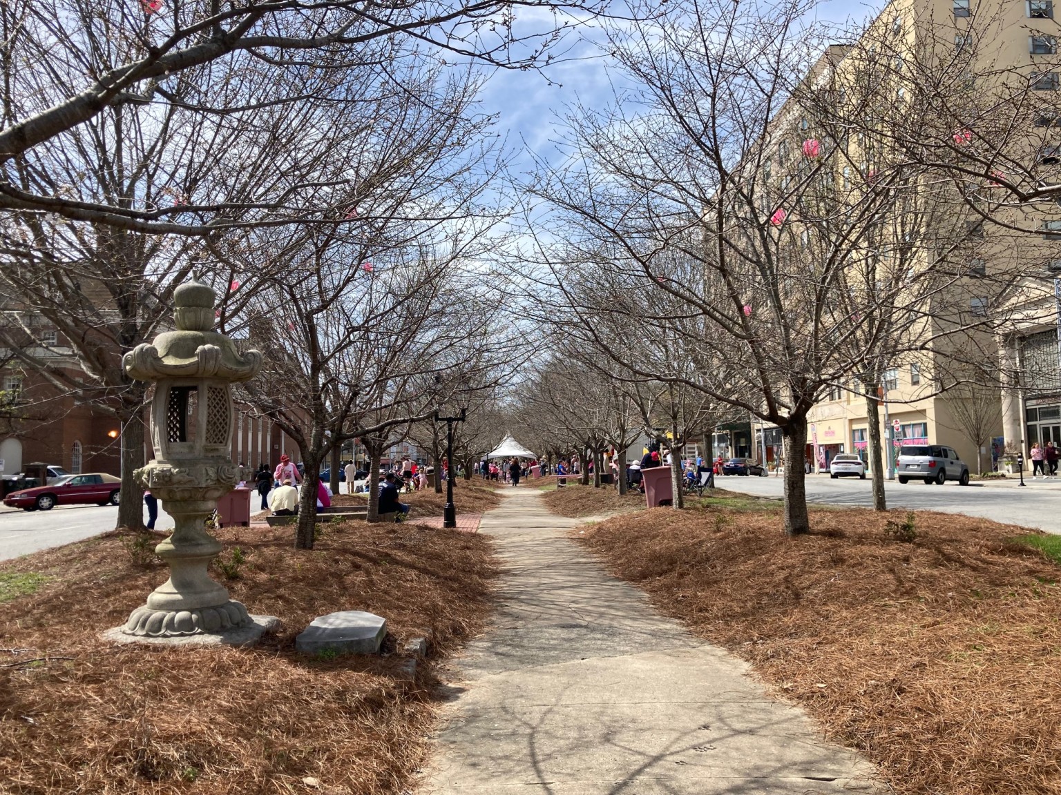 Cherry Blossom Festival organizers make changes to events ahead of